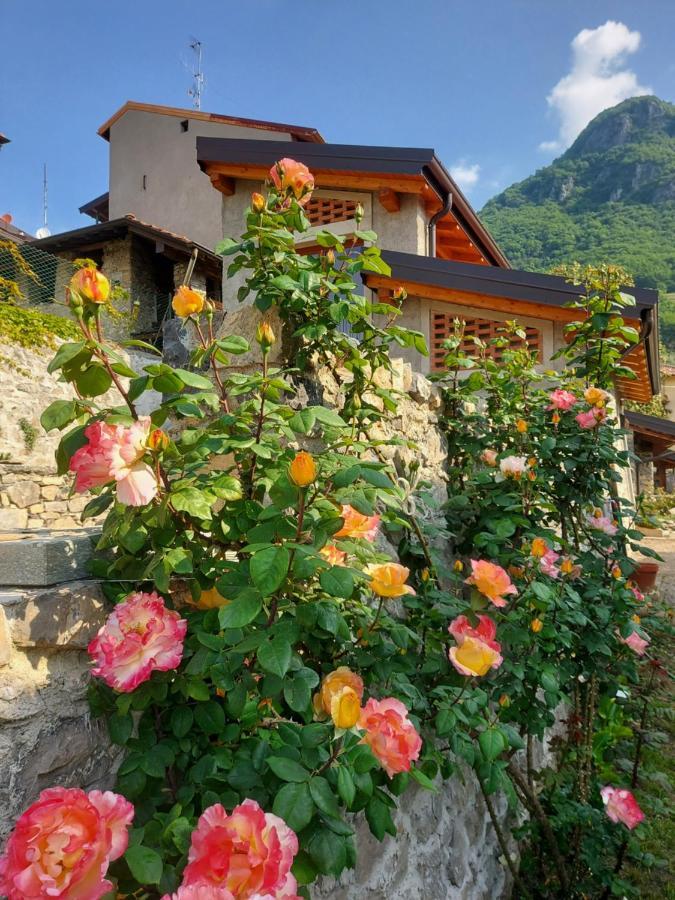 Our Happy Place - Casa Vacanze Per Il Viaggiatore Slow แมนเดลโล เดล ลาริโอ ภายนอก รูปภาพ